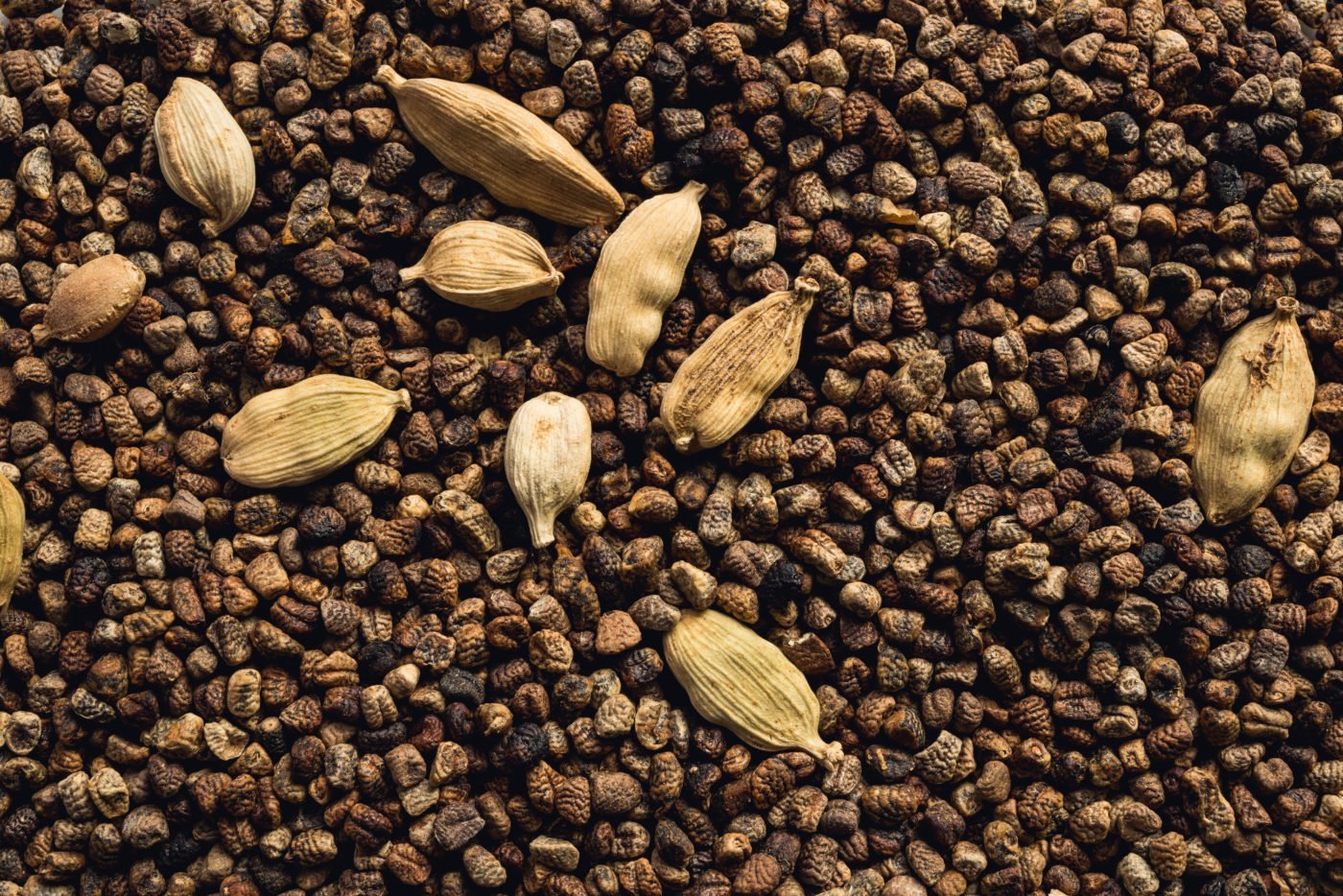 Macro cardamom cardamom