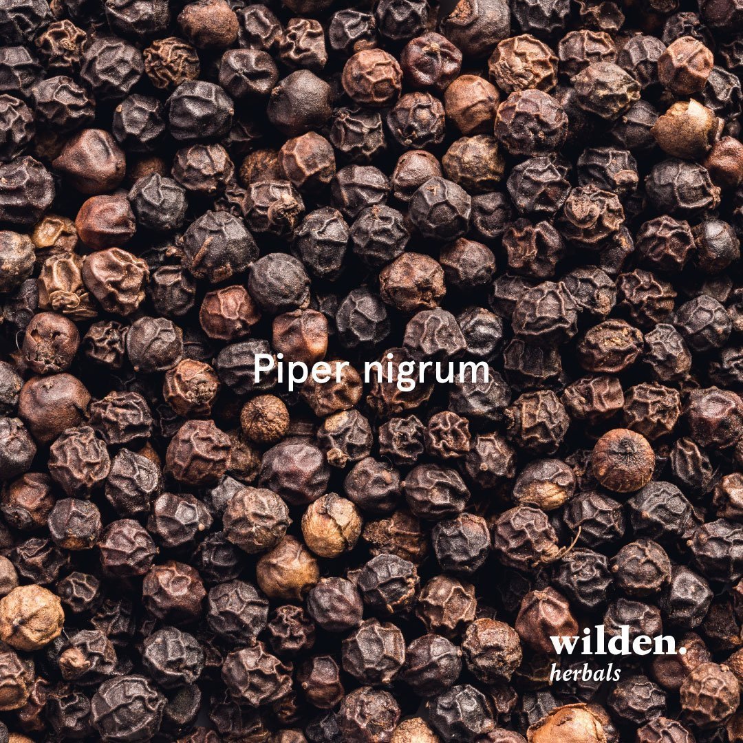 Black pepper herbal tea. When the “king of spices” is inside your cup 