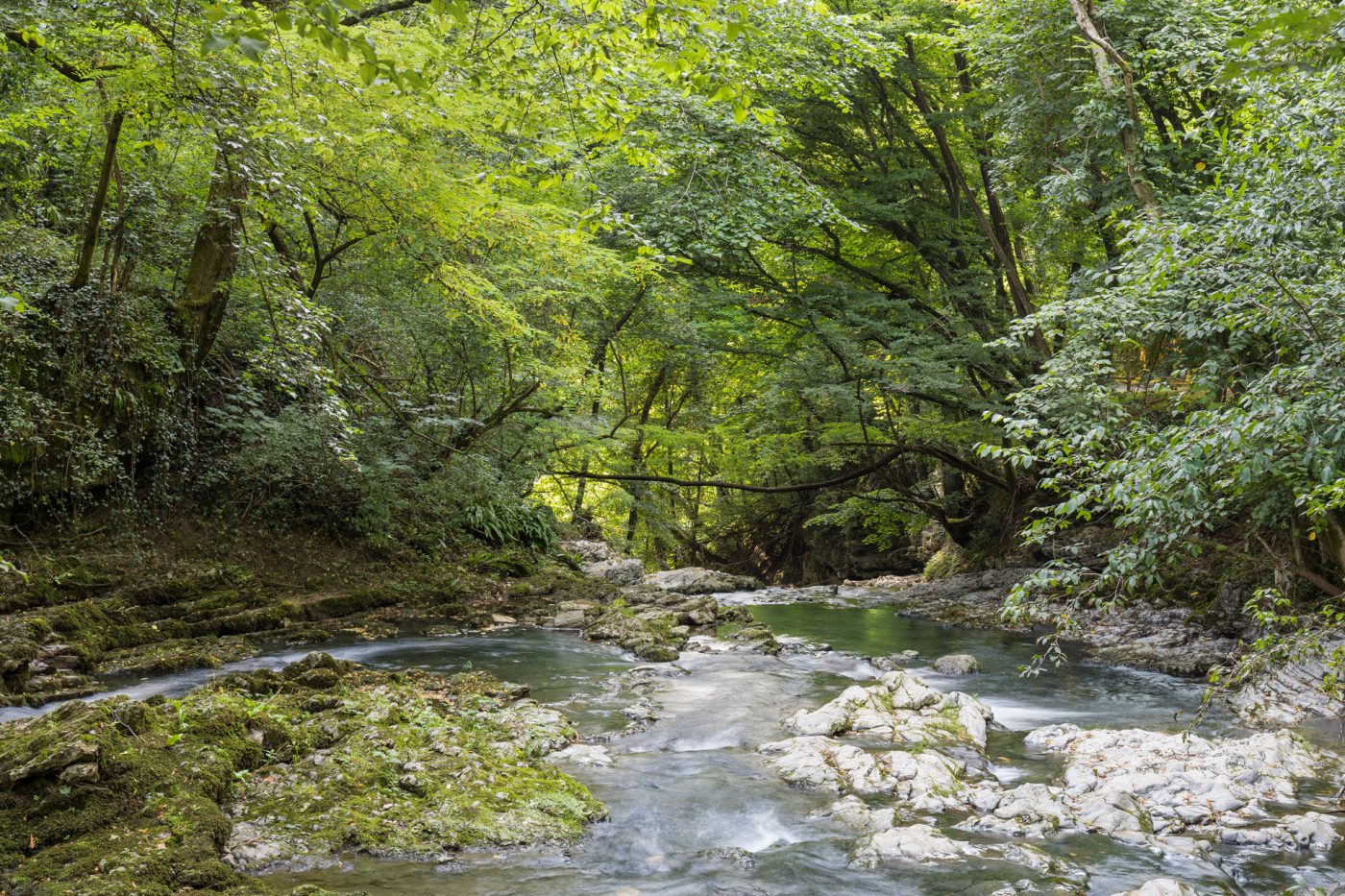 Wilden.herbals: biodegradable and compostable Wilden.herbals: biodegradable and compostable