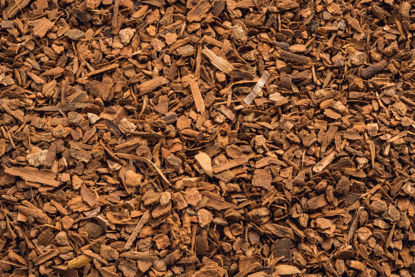 What are the benefits of cinnamon?