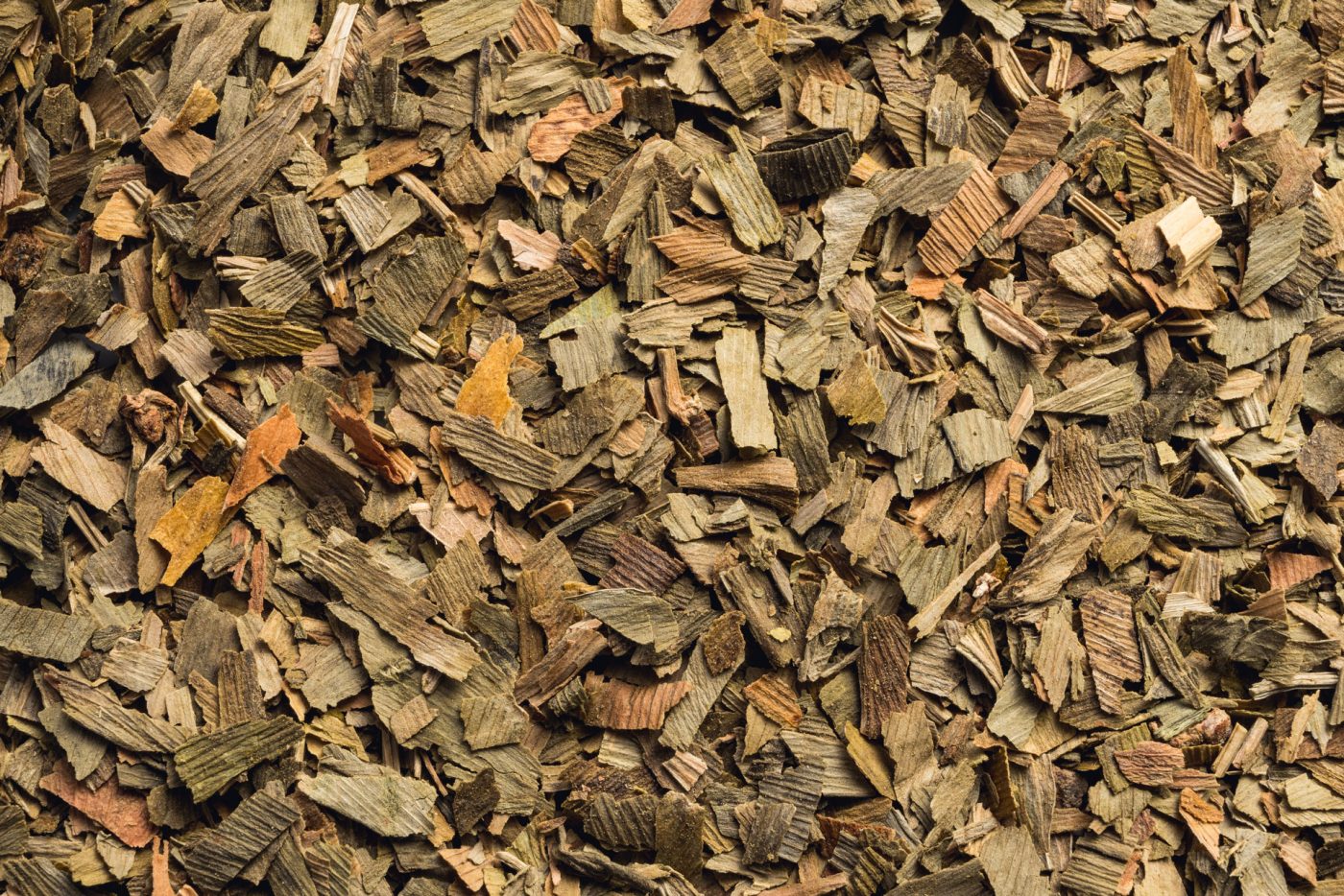 Ginkgo biloba: history of an age-old and very useful plant