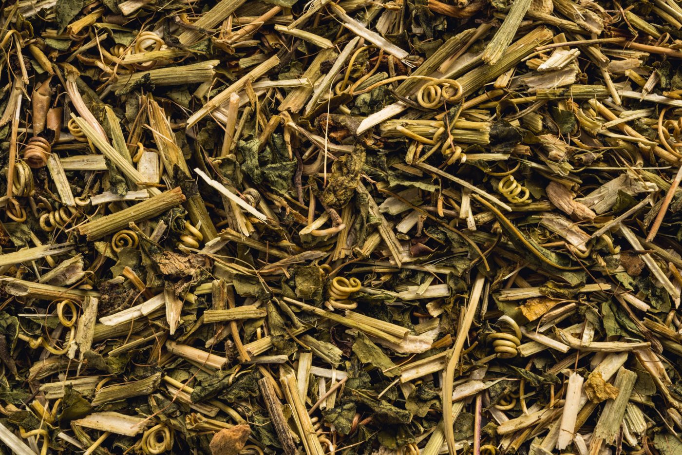 Passiflora, Passiflora incarnata, France Passiflora, Passiflora incarnata, France