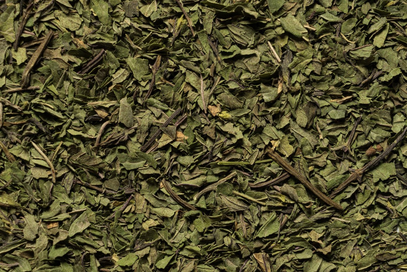 Mint, Mentha x piperita