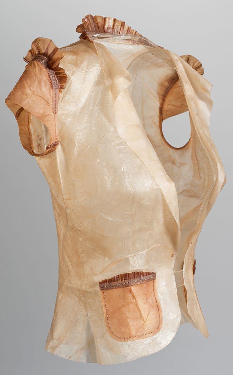 Where can I find kombucha?