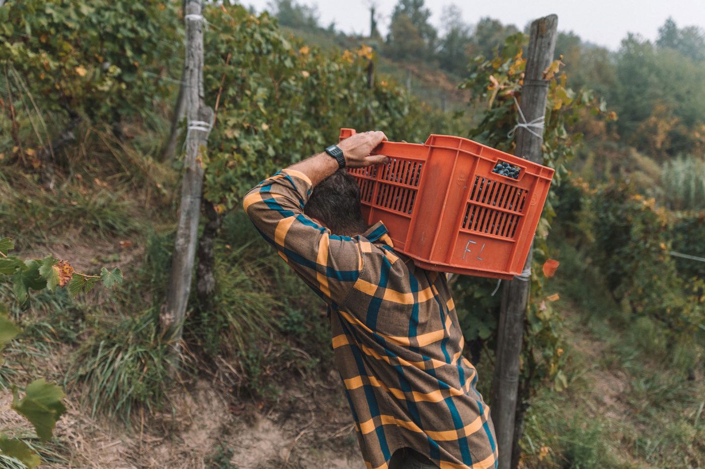 What does it mean for you to be “Healthy and Wild”? What does it mean for you to be “Healthy and Wild”?