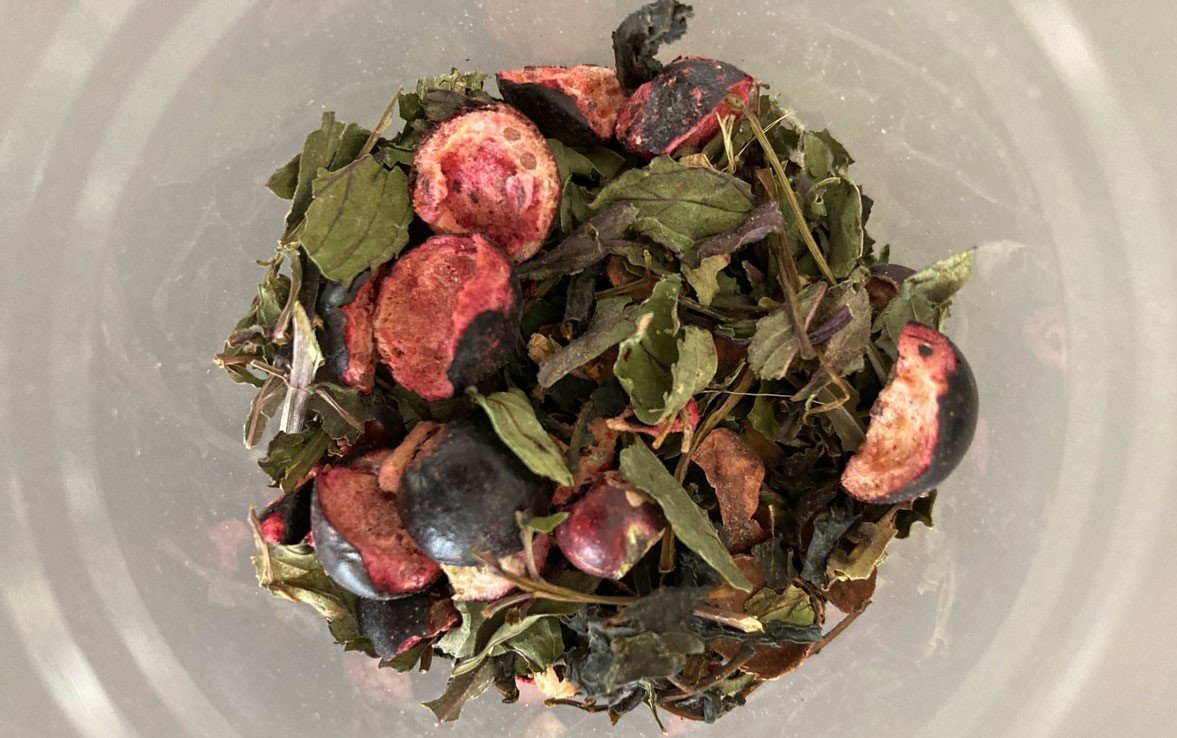 Training trip with Wilden.herbals: experiences at Casadonna and UNISG