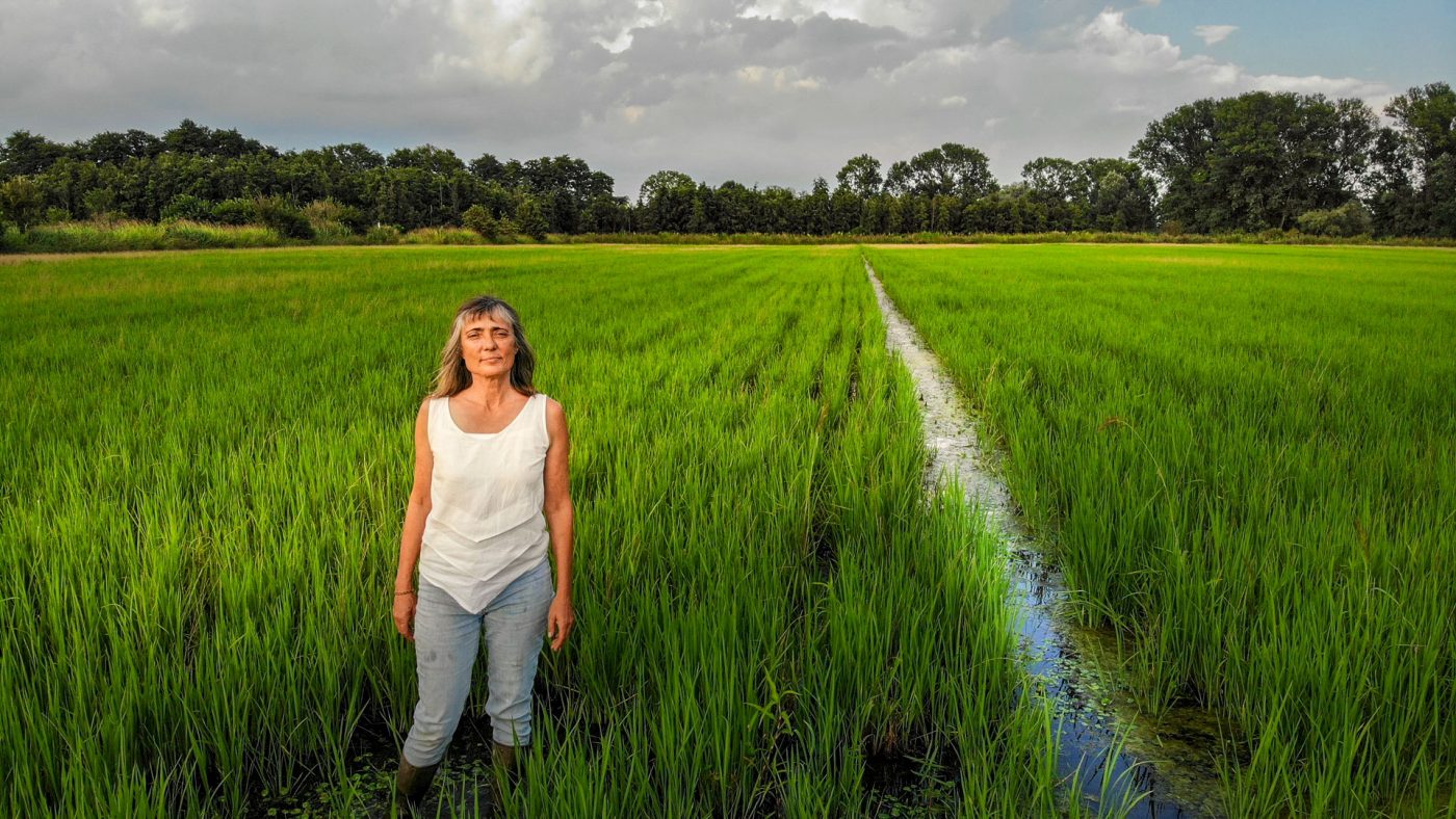 How did Good Land come about? How did Good Land come about?