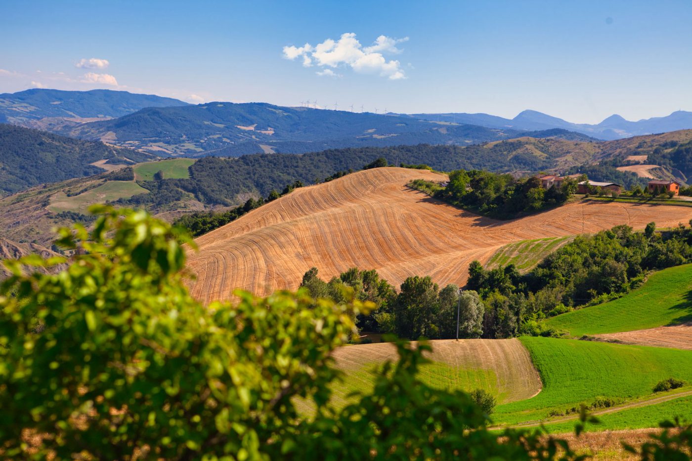 Making Wilden Return to the Land with Good Land Making Wilden Return to the Land with Good Land