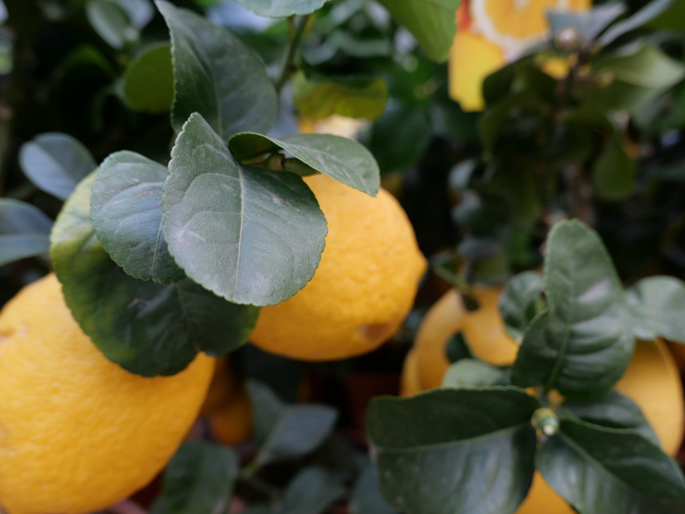 Breastfeeding, instructions for use: everything you need to know