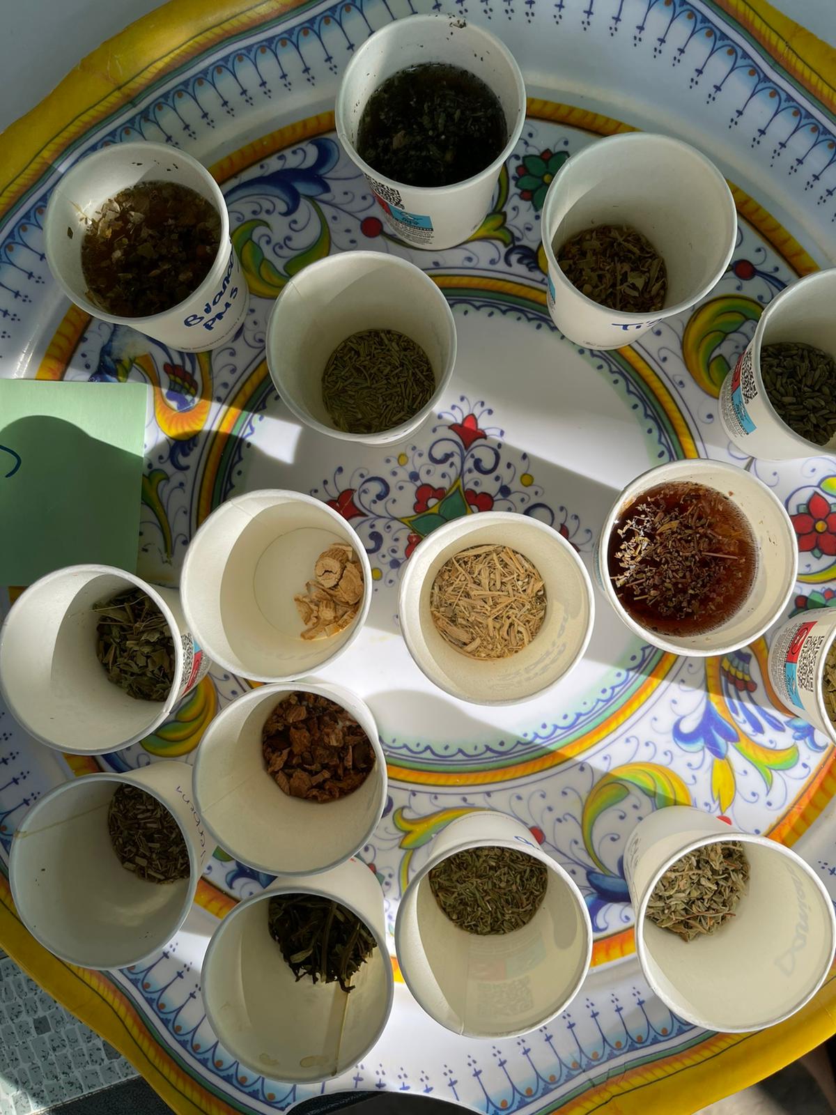 Meet the team: Sofia Tertzakian