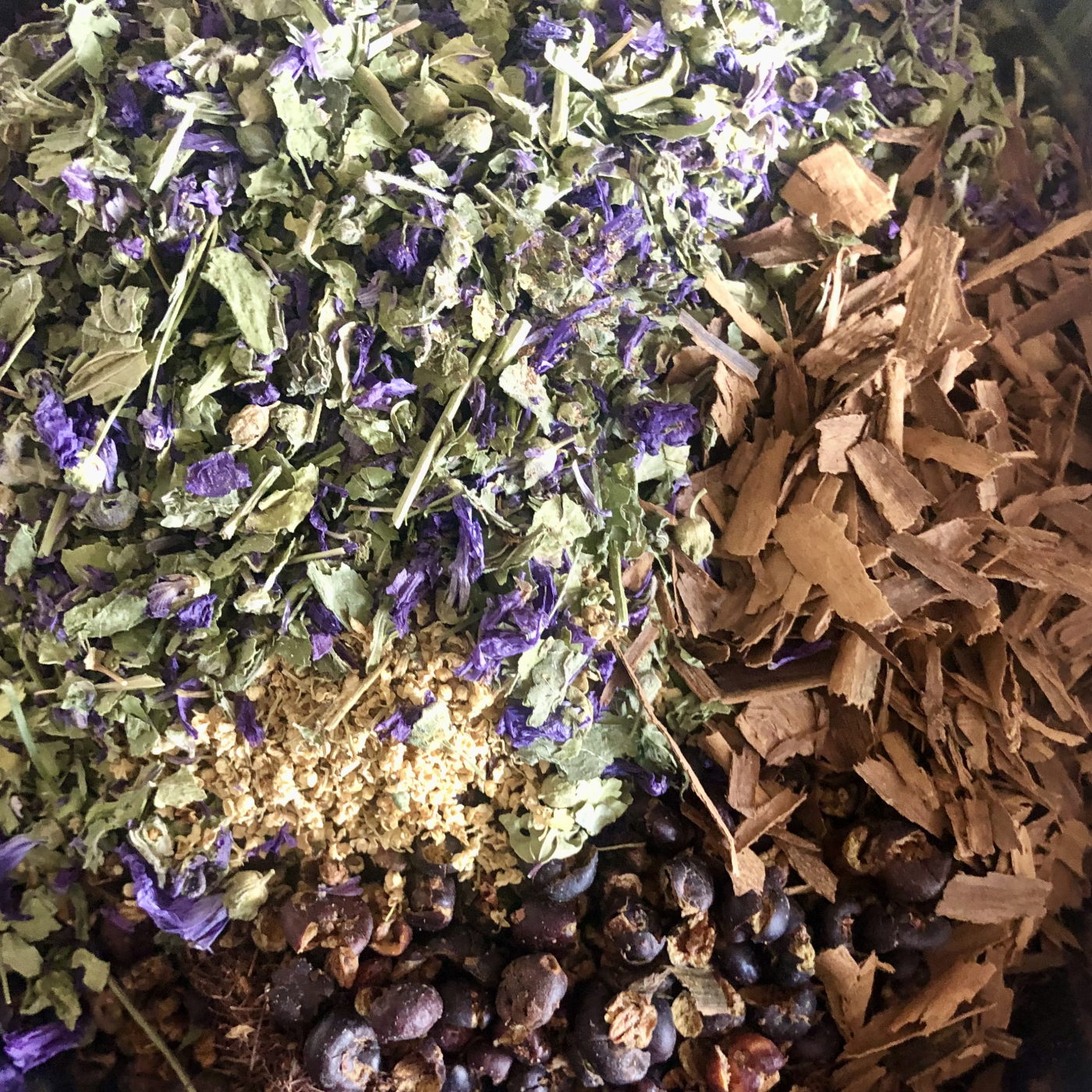 Cystitis and urinary tract infections: what they are and how to treat them with medicinal plants